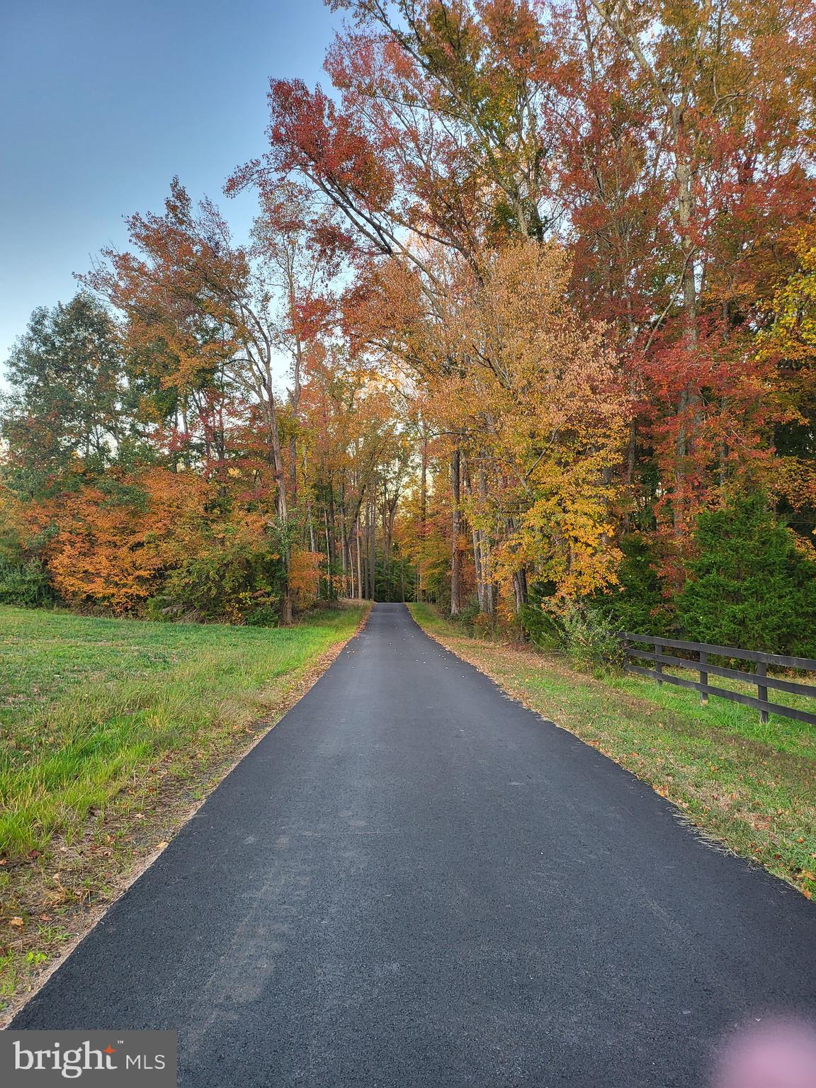 486 Holly Corner Road Fredericksburg, VA 22406 - Photo 33 of 34 Fall View of the Private Driveway