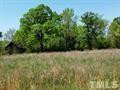 0 Wilkerson Road Cedar Grove, NC 27231 - Photo 4 of 8 Gallery Image 4