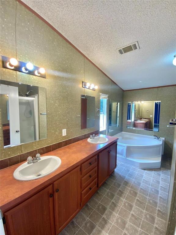 11255 Sam Reynolds Road Justin, TX 76247 - Photo 9 of 19 a bathroom with a sink double vanity and a mirror