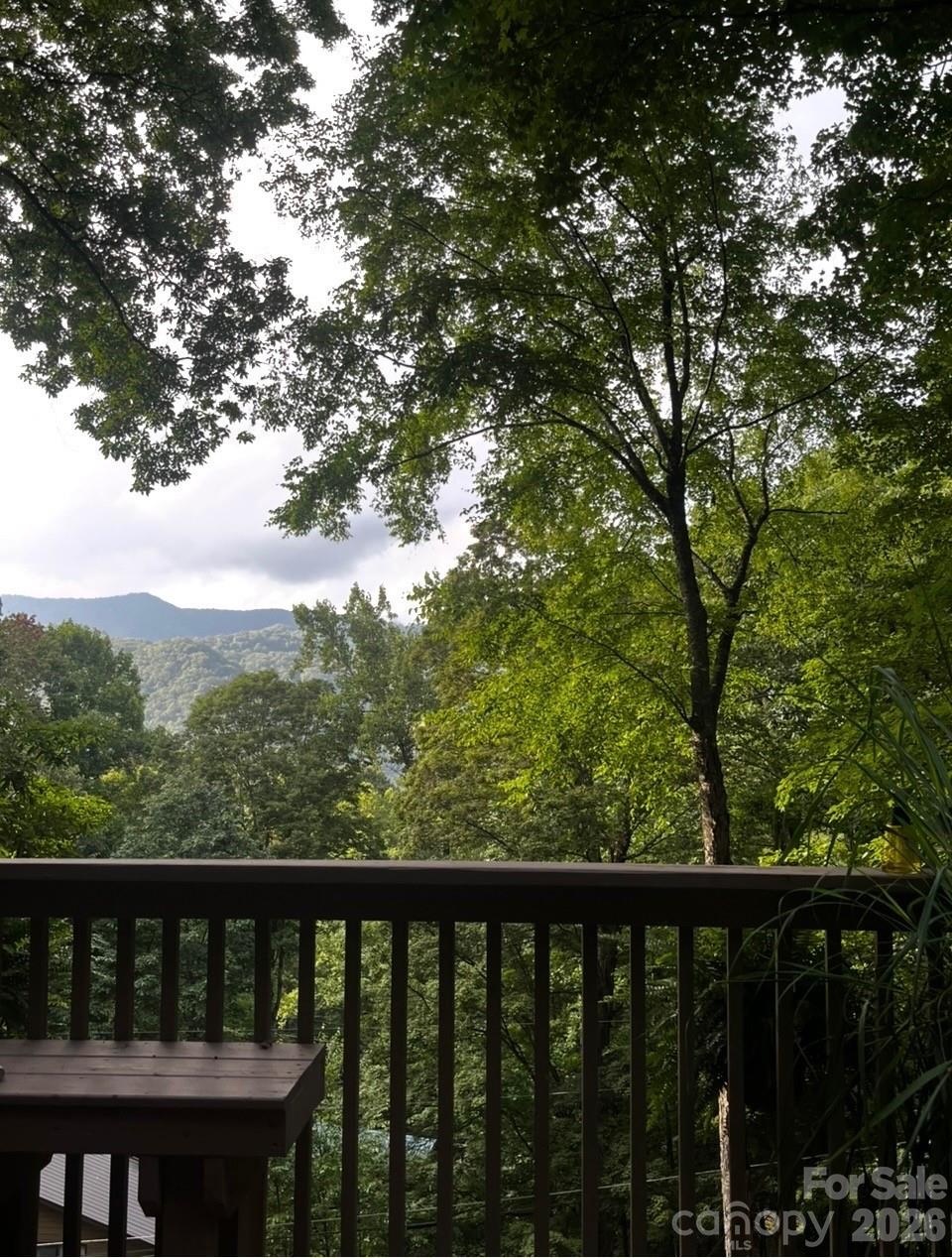 46 Hummingbird Drive Maggie Valley, NC 28751 - Photo 36 of 38