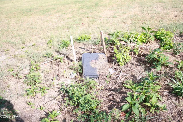 $21,900 | 0 Miltonia Avenue, Marianna, FL 32448