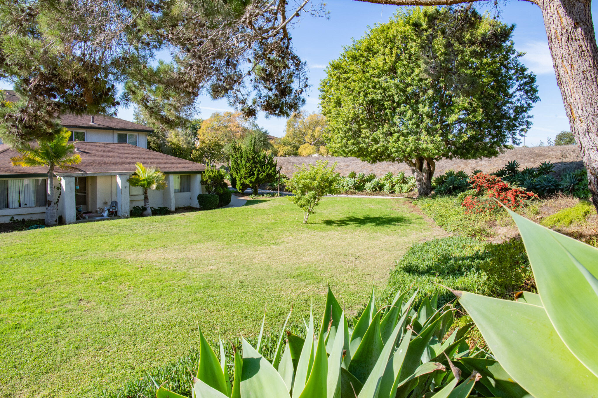 373 Northgate Drive, Unit A Goleta, CA 93117 - Photo 33 of 37 a view of a house with a big yard plants and large trees