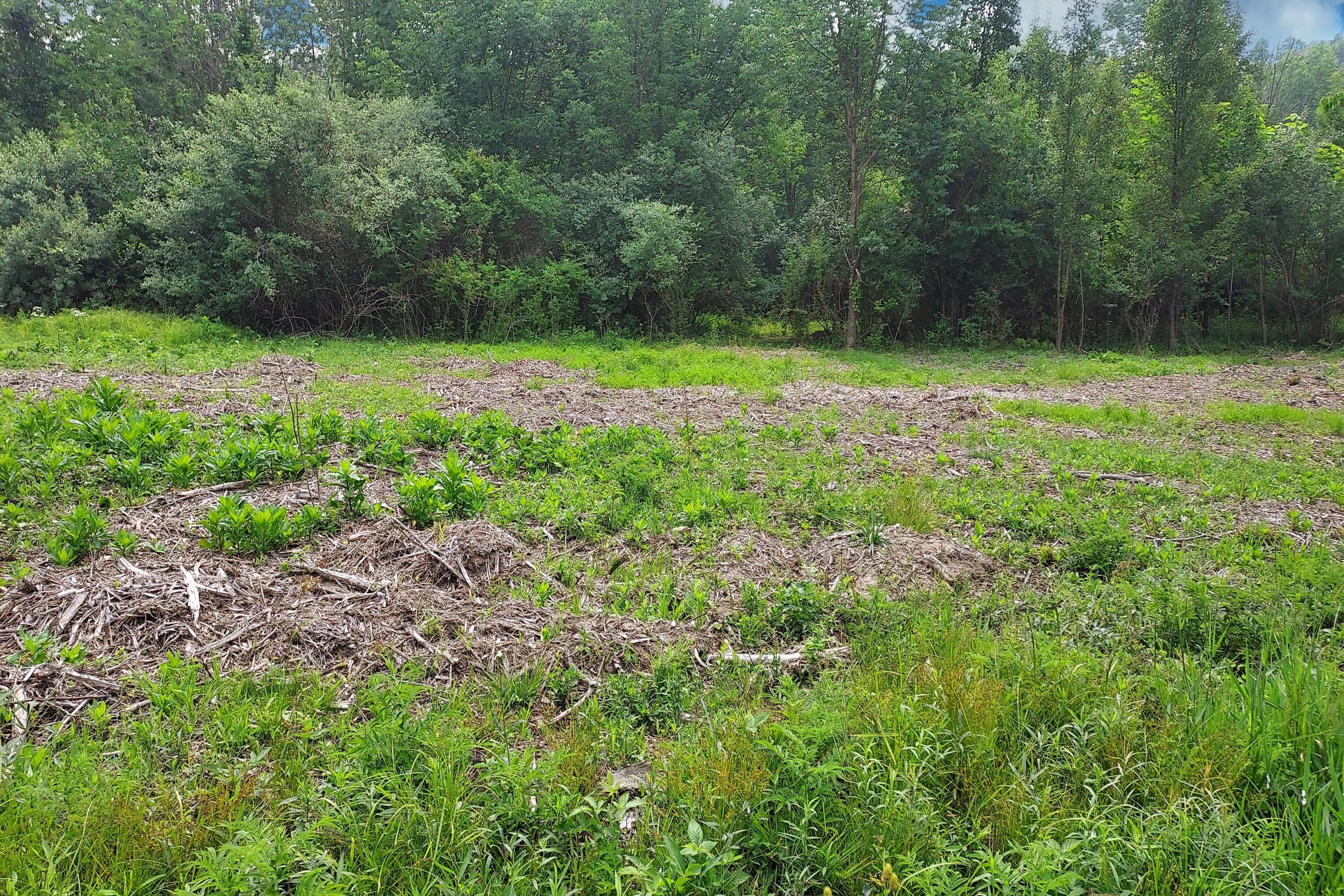 5547 Red Bank Road, Unit TRACT B Galena, OH 43021 - Photo 13 of 24 14. View of Lot