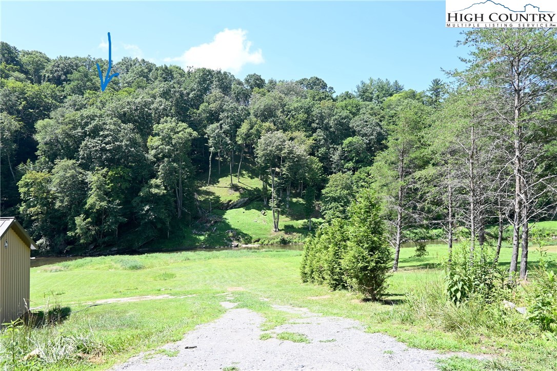 38 Turkey Ridge Crumpler, NC 28617 - Photo 11 of 11 a view of a garden