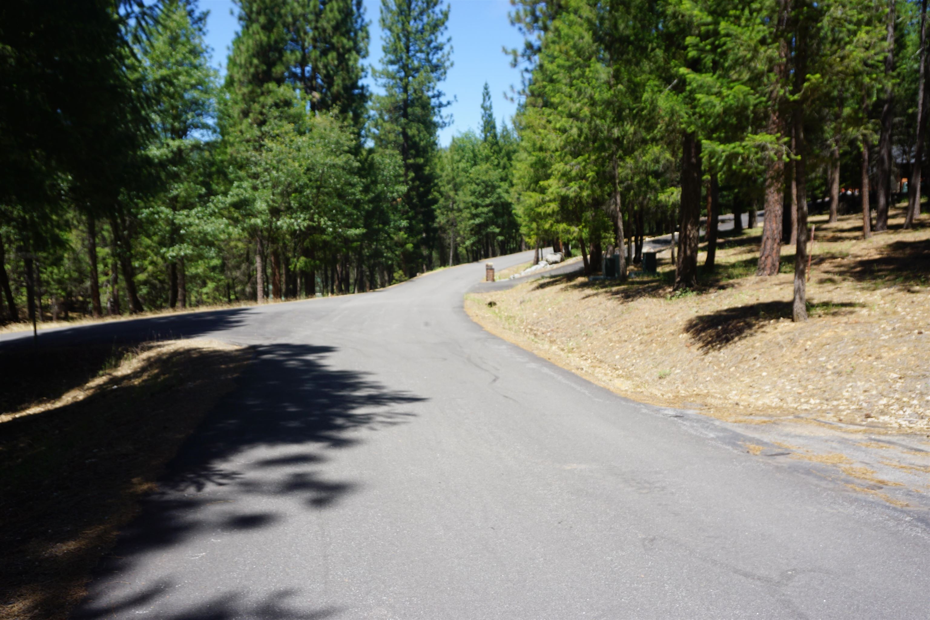 397 Main Ranch Road Quincy, CA 95971 - Photo 15 of 15