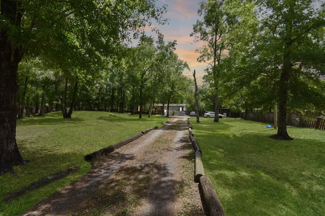 a view of a park with tree s