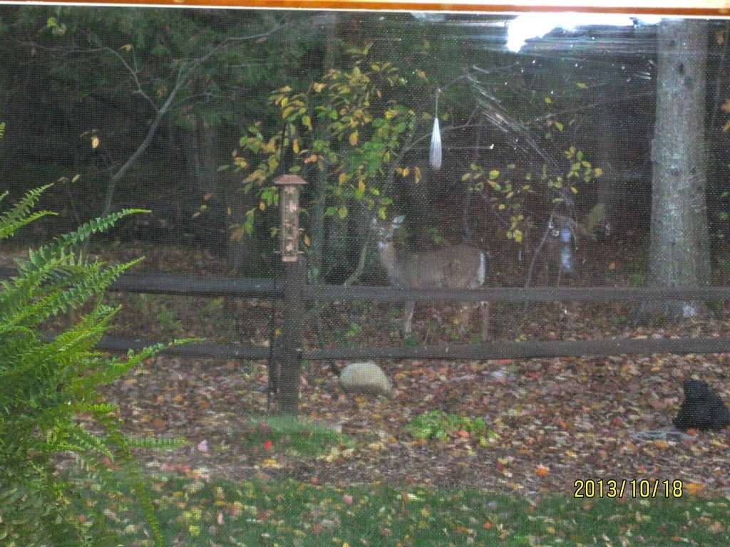 540 West 34 Road Boon, MI 49618 - Photo 22 of 25 1814397-21.JPG