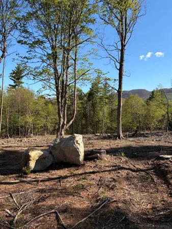 $425,000 | Lot B Frost Pond Road, Dorset, VT 05251