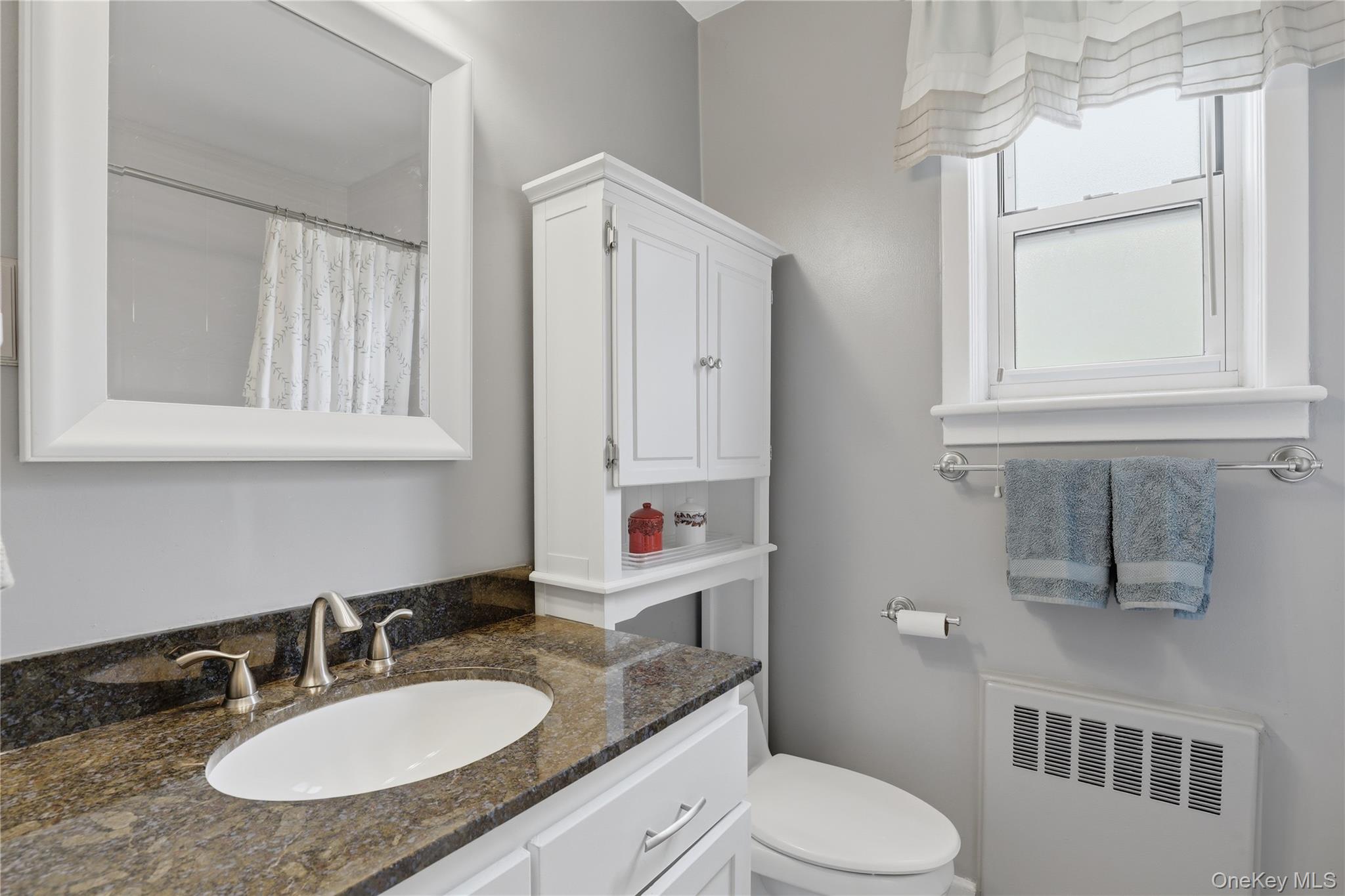 352 North State Road, Unit 1H Briarcliff Manor, NY 10510 - Photo 13 of 20 a bathroom with a granite countertop sink toilet a mirror and shower