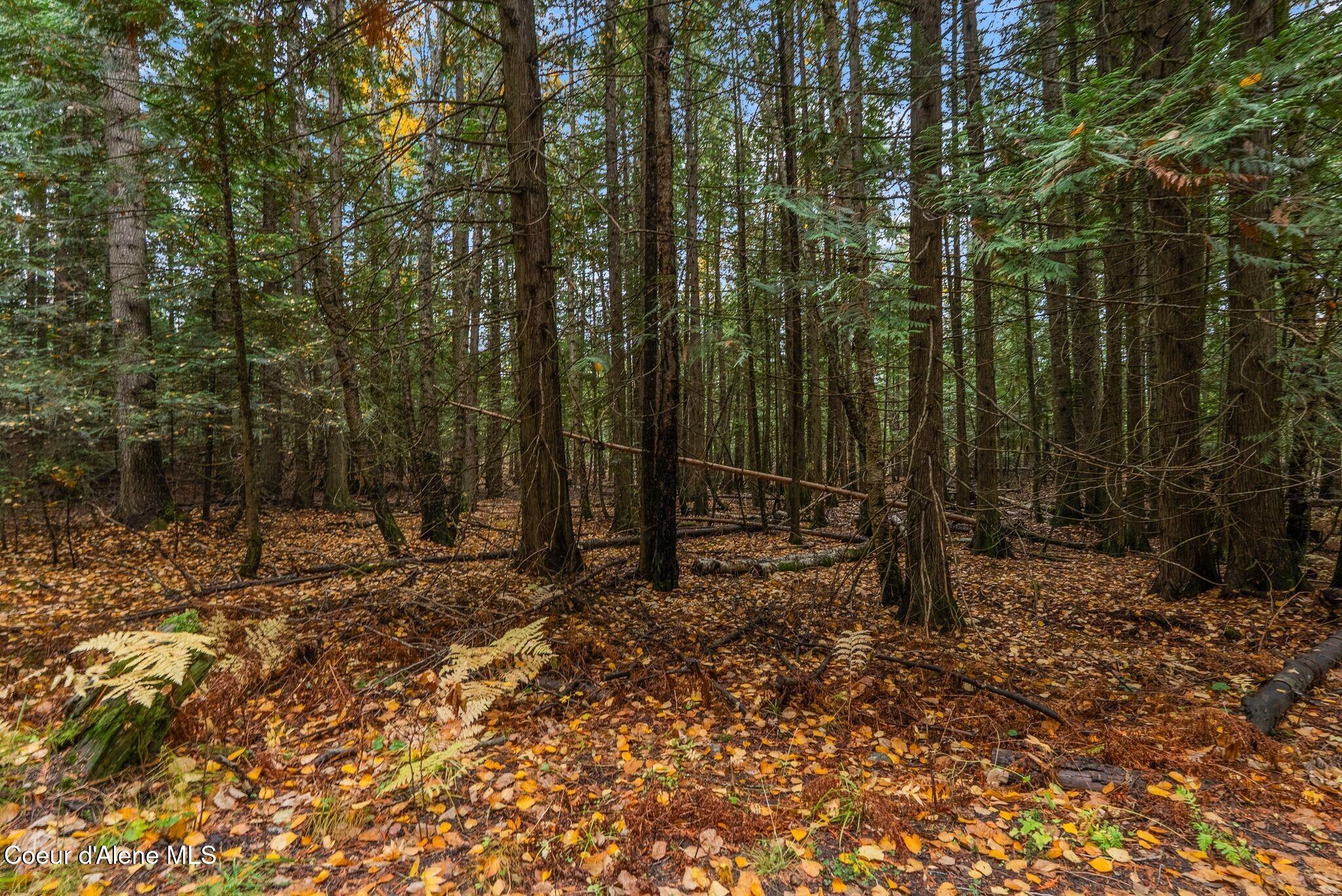 Rogers Road Sandpoint, ID 83864 - Photo 20 of 37 Enjoy All 4 Seasons