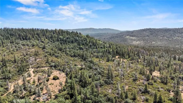 $95,000 | 17711 Pamlo Way, Brownsville, CA 95919