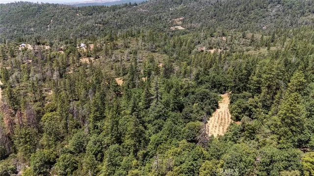 a view of a mountain in the distance in a field