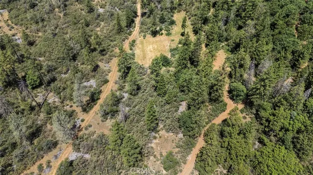 a view of a city with lush green forest