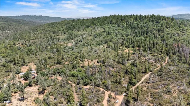 a view of a green field with lots of bushes