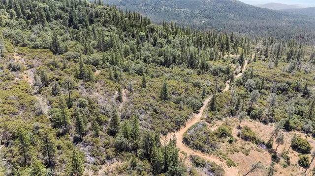 a view of a field with trees in the background