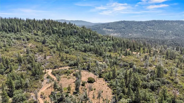 a view of a big yard with large trees