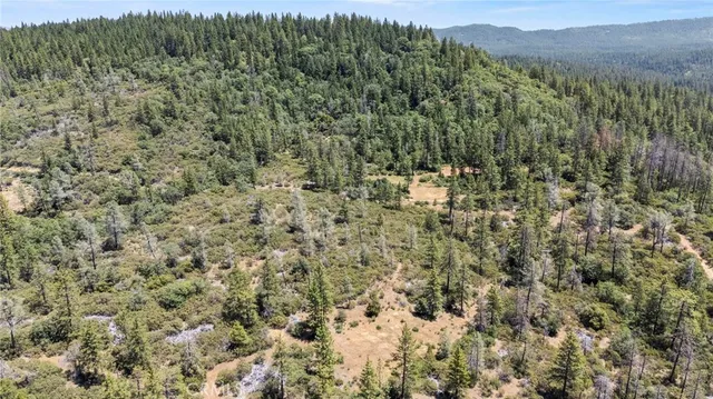 a view of a green field with lots of bushes