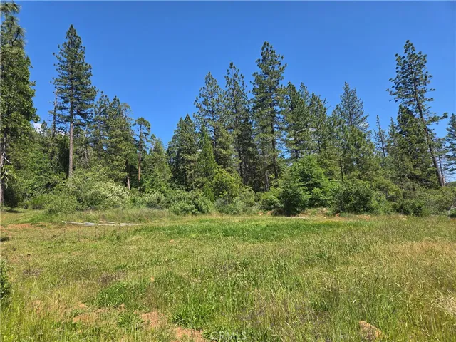 a view of a city with lush green forest