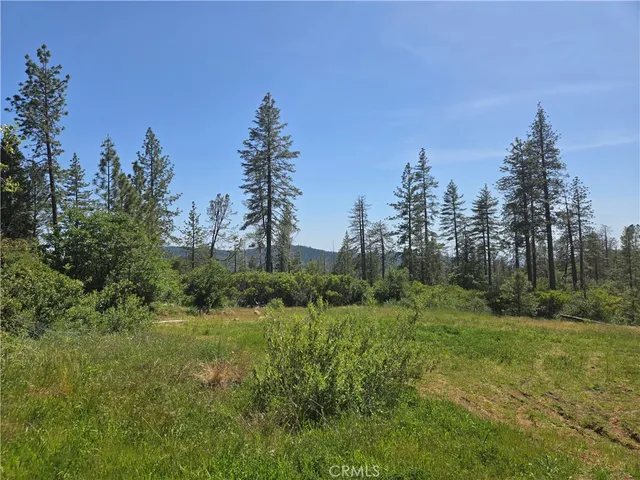 a view of a grassy field with trees in the background