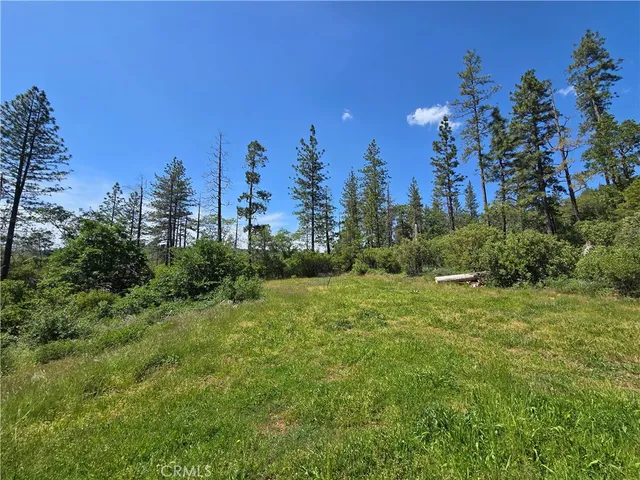a view of backyard with green space