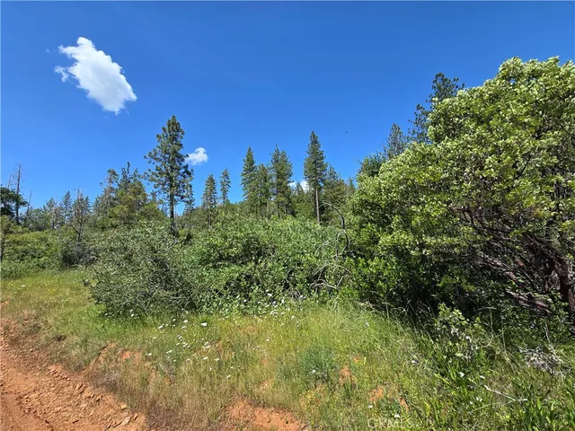 a view of an outdoor space and a yard