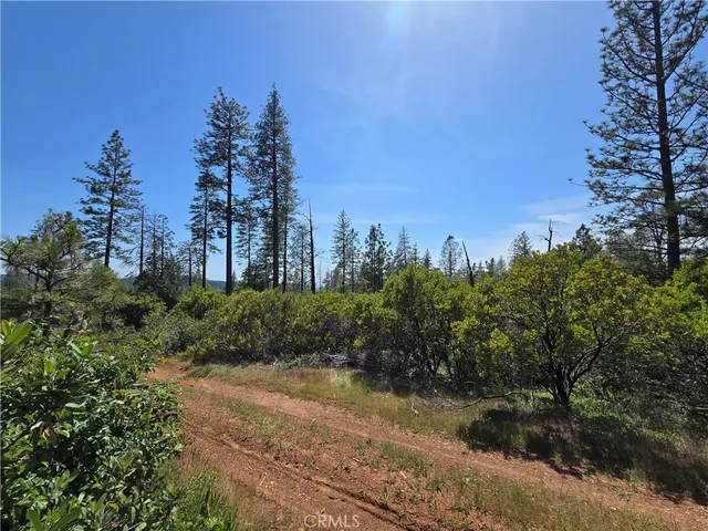 a view of a big yard with large trees
