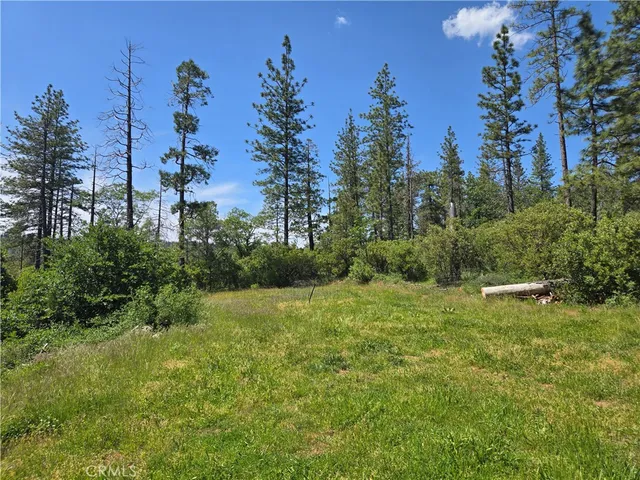 a view of outdoor space and yard