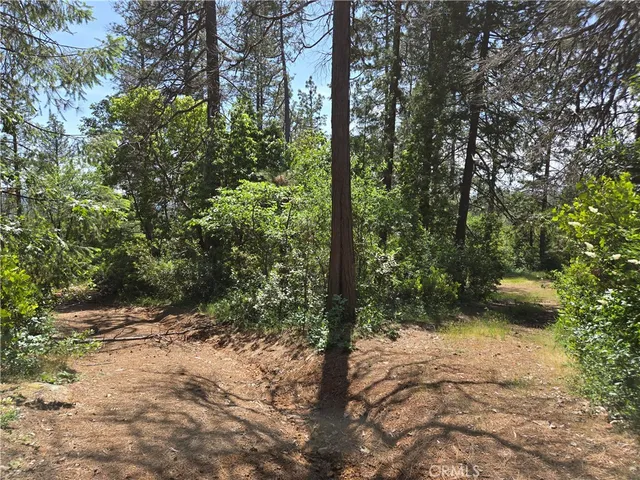 a view of a road with trees in the background