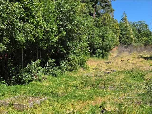 a view of outdoor space and tree