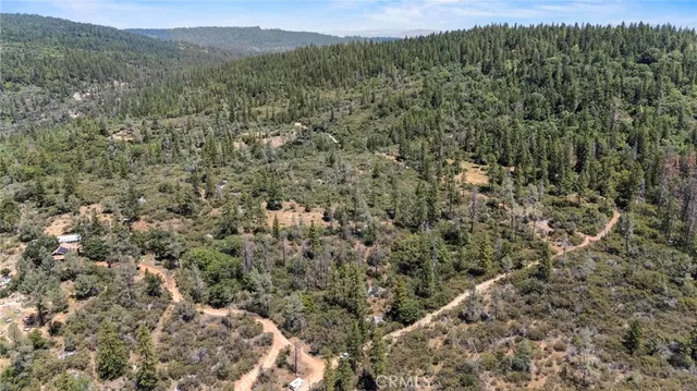 a view of a lush green forest with lush green forest