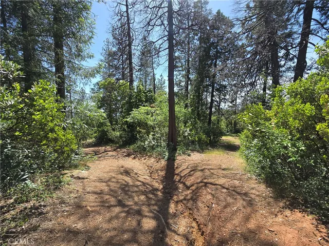 $99,999 | 17711 Pamlo Way, Brownsville, CA 95919