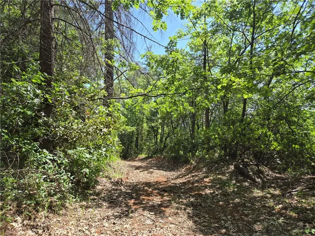 $99,999 | 17711 Pamlo Way, Brownsville, CA 95919