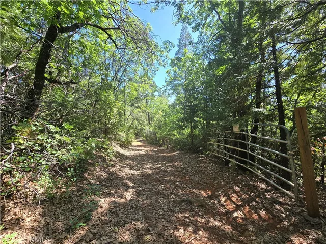 $99,999 | 17711 Pamlo Way, Brownsville, CA 95919