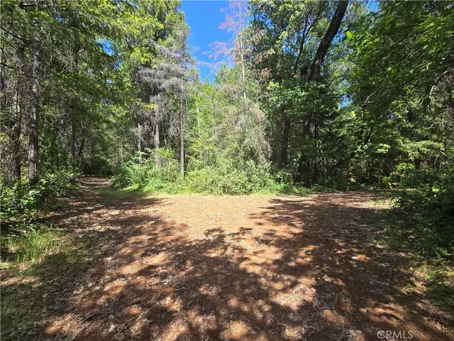 $99,999 | 17711 Pamlo Way, Brownsville, CA 95919