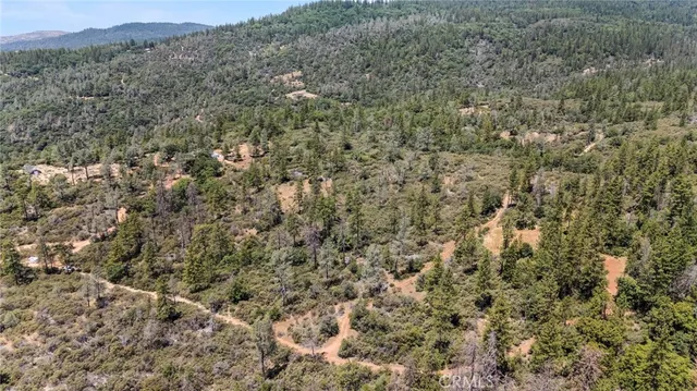 a view of a dry yard