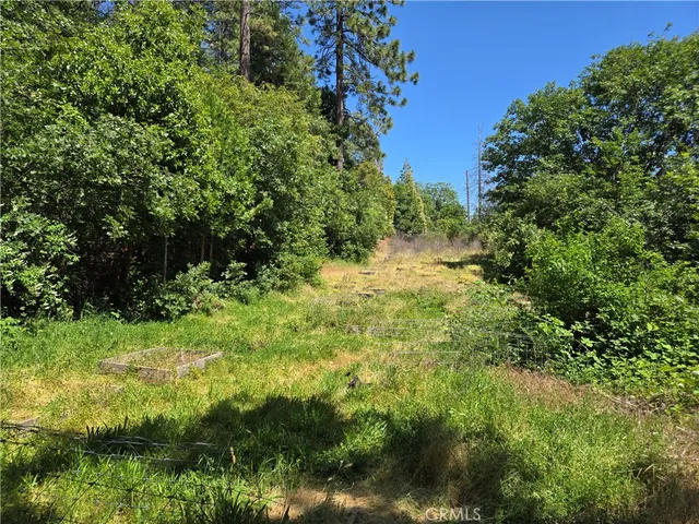 $99,999 | 17711 Pamlo Way, Brownsville, CA 95919