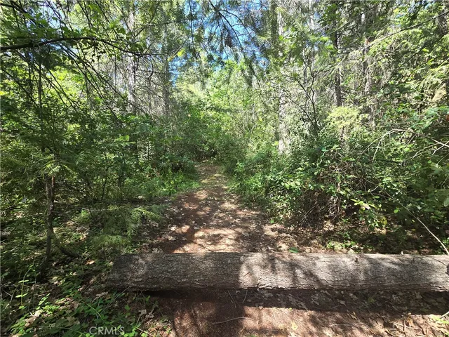 $99,999 | 17711 Pamlo Way, Brownsville, CA 95919