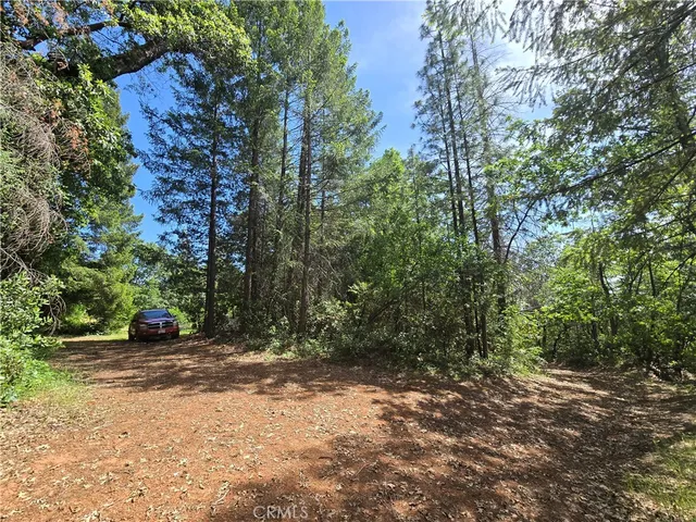 $99,999 | 17711 Pamlo Way, Brownsville, CA 95919