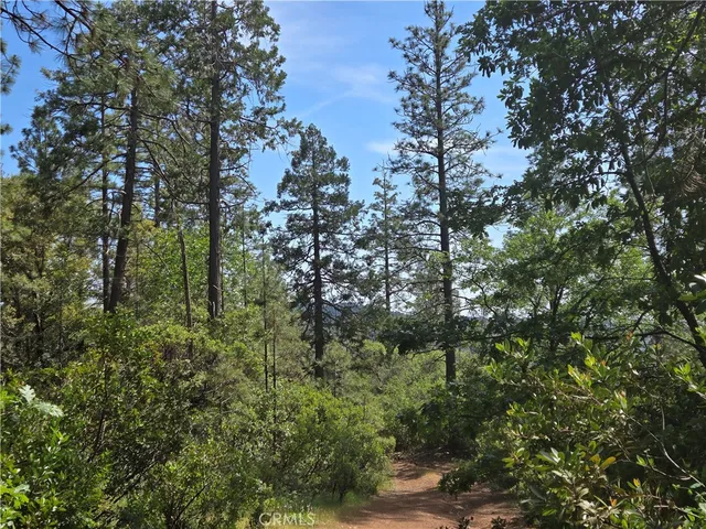 $99,999 | 17711 Pamlo Way, Brownsville, CA 95919