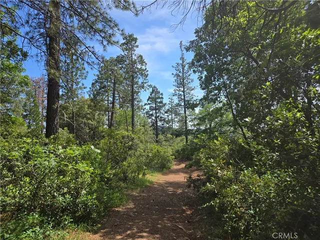 $99,999 | 17711 Pamlo Way, Brownsville, CA 95919