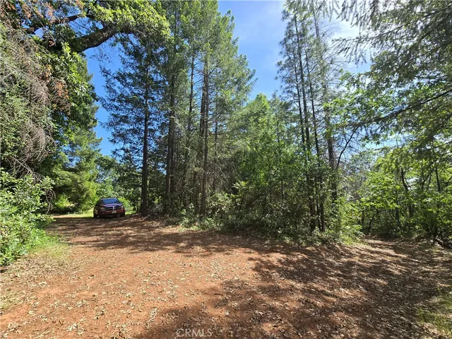 $99,999 | 17711 Pamlo Way, Brownsville, CA 95919