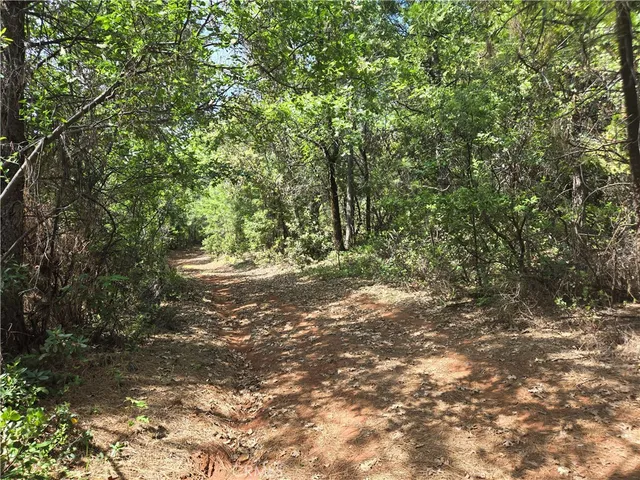 $99,999 | 17711 Pamlo Way, Brownsville, CA 95919