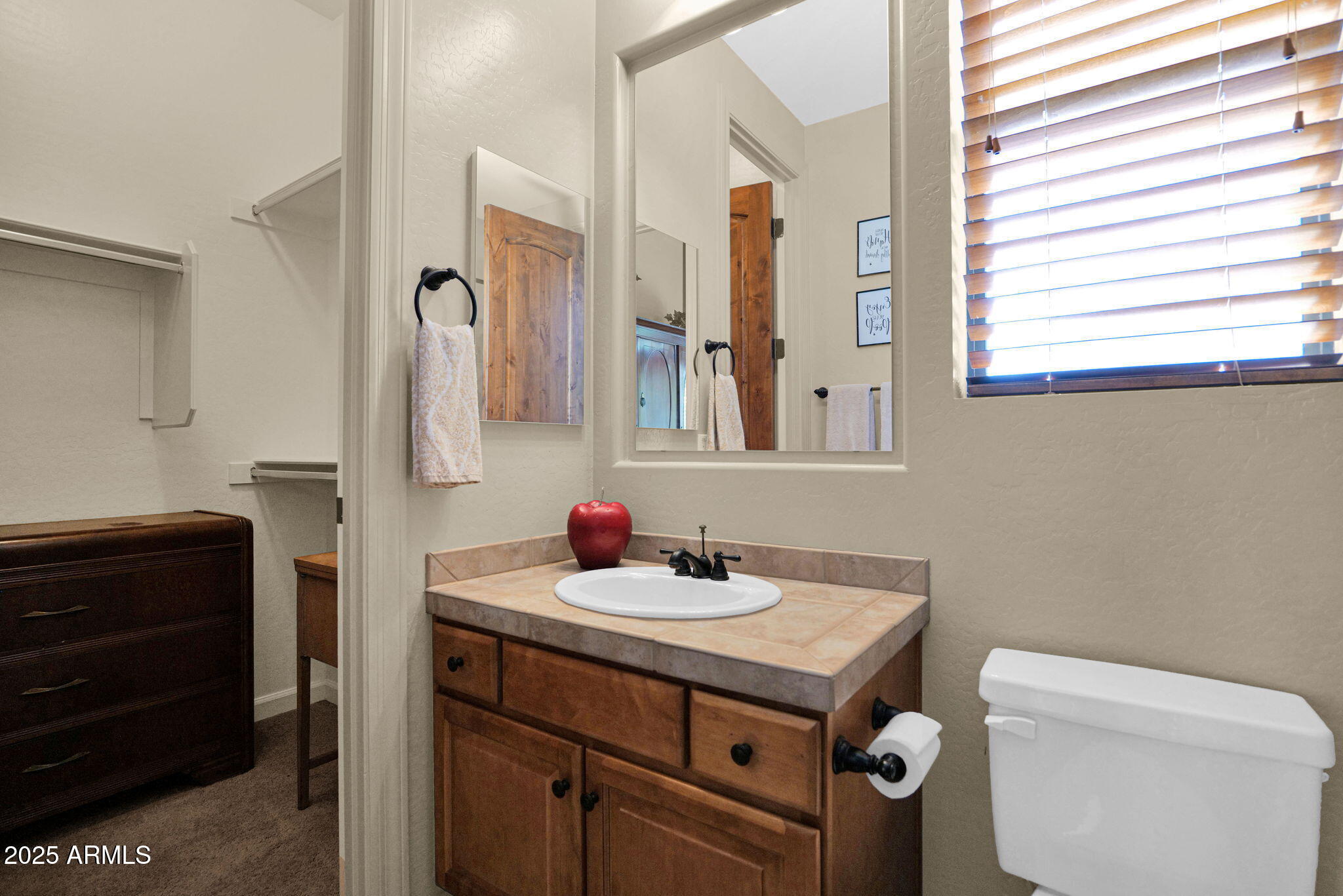 4207 North Arboles Circle Mesa, AZ 85207 - Photo 34 of 71 a bathroom with a sink toilet and mirror