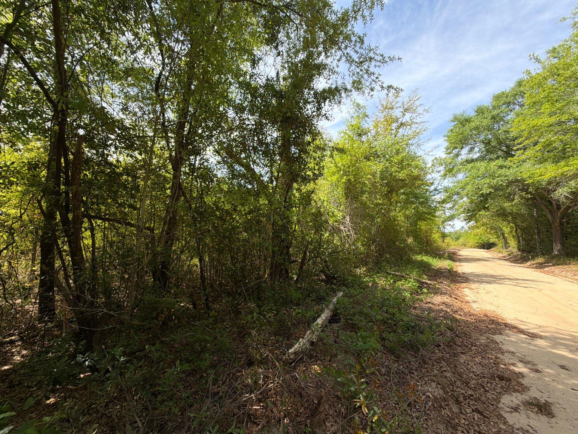 6 Rogers Cemetery Road, Unit RRF 6 Salley, SC 29137 - Photo 4 of 19
