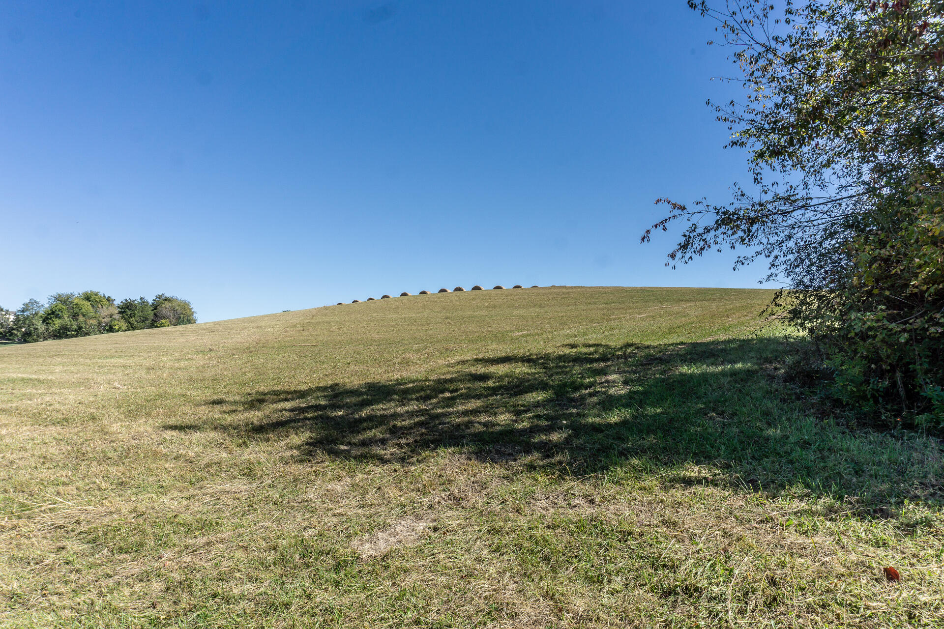 0 Rheatown Road, Unit 3 Chuckey, TN 37641 - Photo 2 of 8 RheatownG_005
