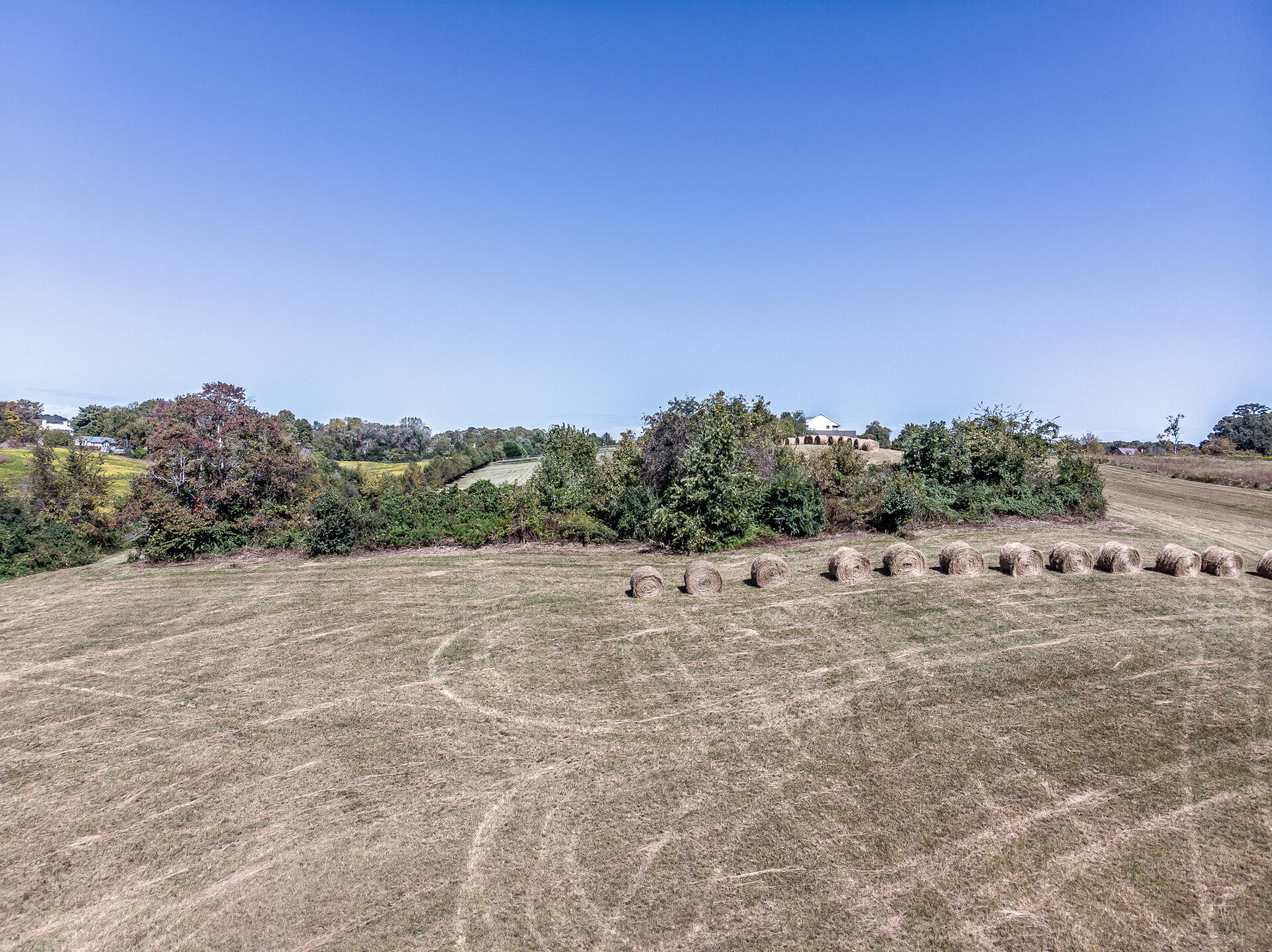 0 Rheatown Road, Unit 3 Chuckey, TN 37641 - Photo 8 of 8 RheatownG_056