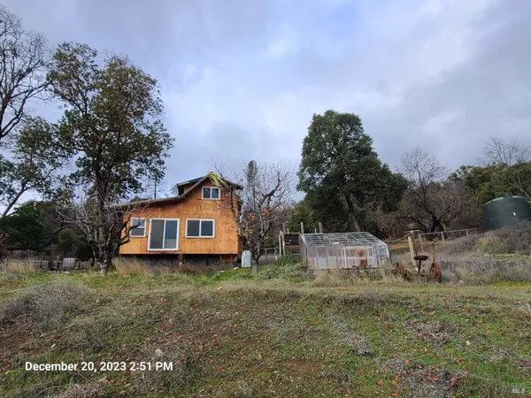 a view of a dry yard with lots of trees