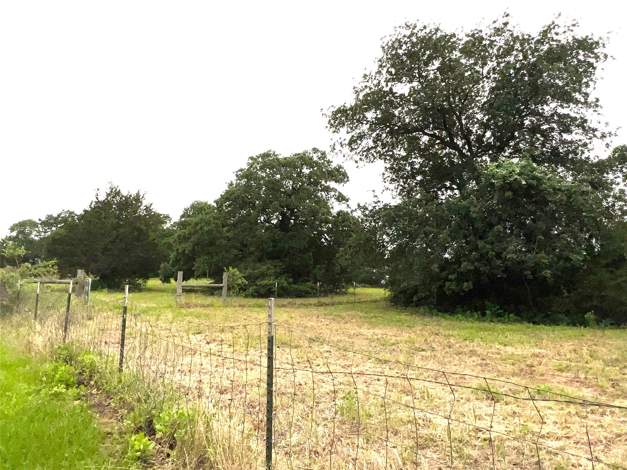 160 Rosanky Cattle Company Road, Unit R Smithville, TX 78957 - Photo 16 of 19 a view of a lake view