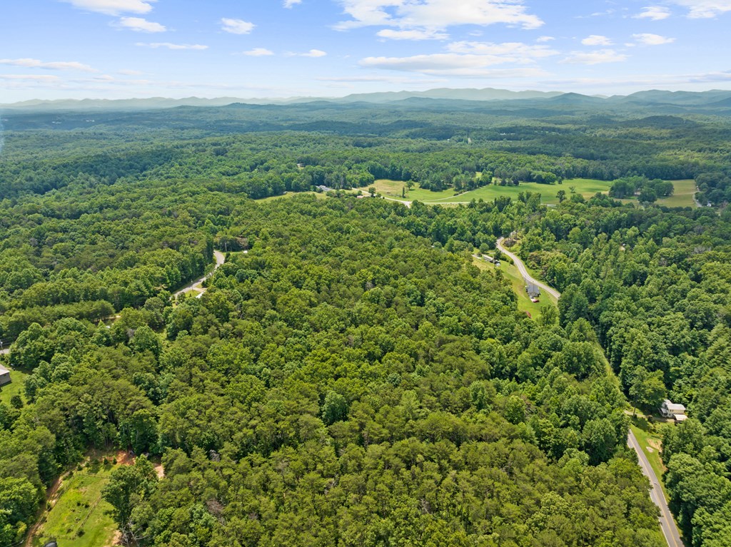 0 Crawford Road McCaysville, GA 30555 - Photo 15 of 21