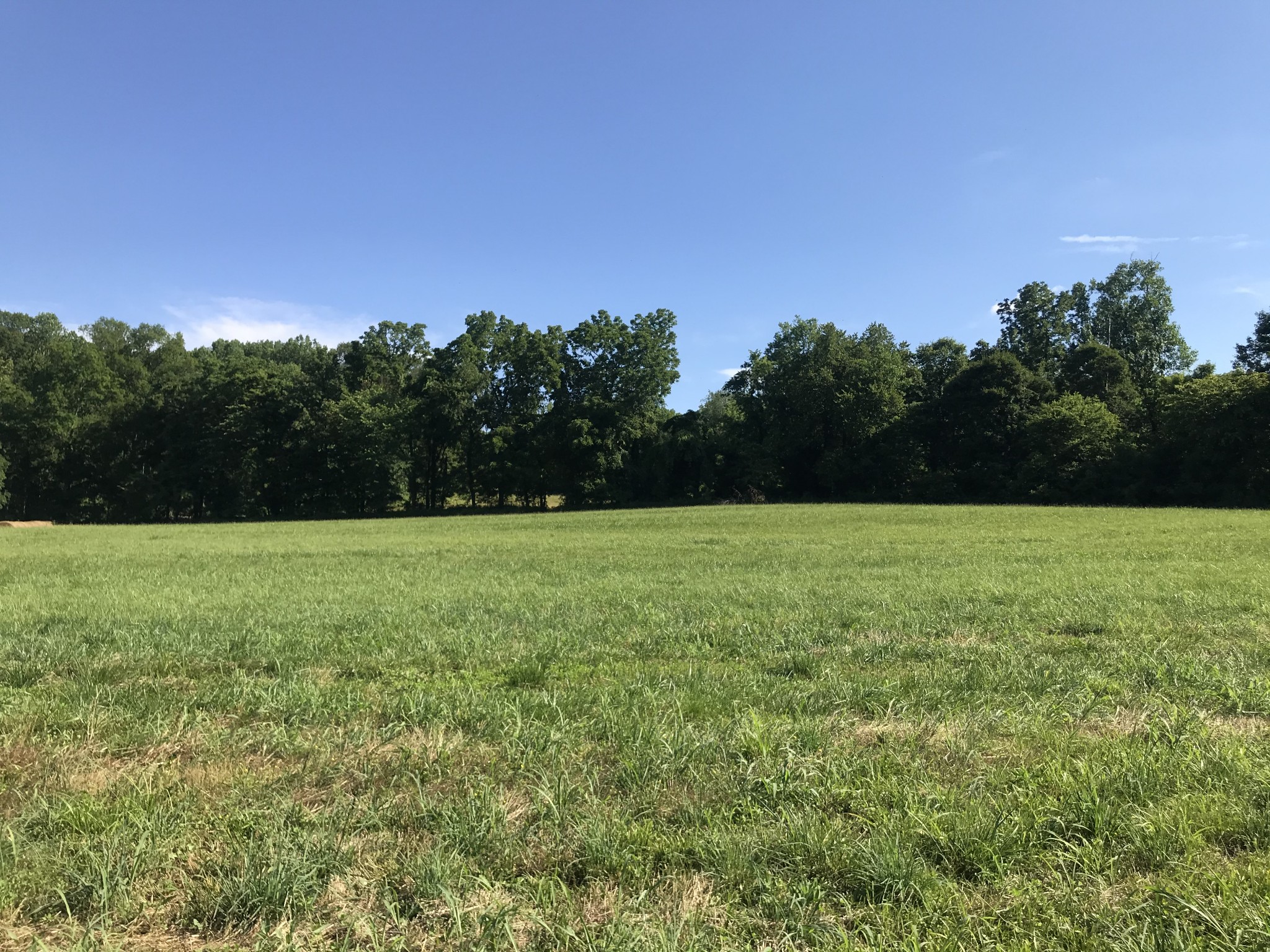 3719 Tarsus Road Palmyra, TN 37142 - Photo 17 of 49 Gallery Image 17